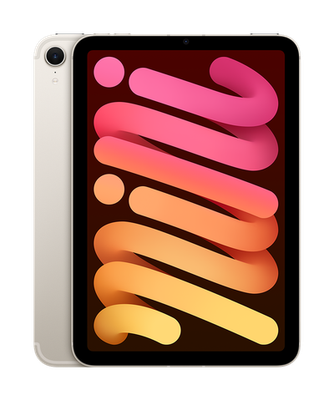 iPad mini